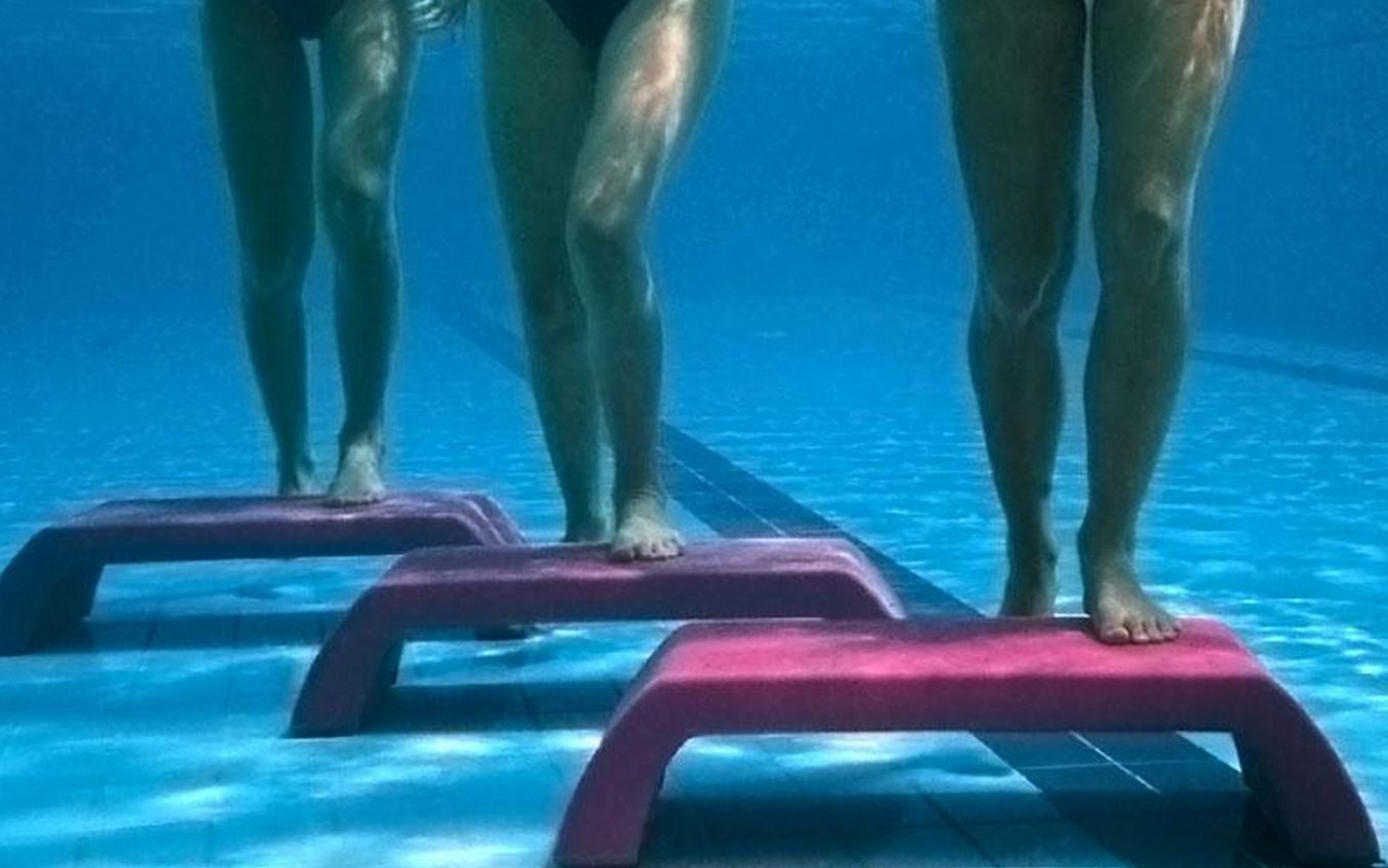 Découvrez les cours de fitness pour femmes : des séances variées et motivantes pour renforcer le corps, réduire le stress et retrouver confiance en soi.